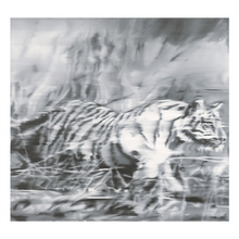  gerhard richter art Tiger, 1965 print