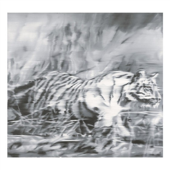 gerhard richter art Tiger, 1965 print